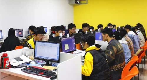 喜報 | 我校在“巴渝工匠杯”2019年重慶市互聯網信息技術職業技能競賽中榮獲佳績