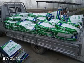 非瘟?xí)r代，裝卸品質(zhì) 守護(hù)養(yǎng)殖安全的堅(jiān)實(shí)防線