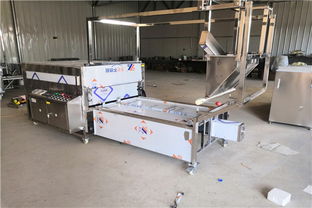 攜手增益食品機(jī)械廠(chǎng)，探索槽子糕生產(chǎn)機(jī)械的革新與搬運(yùn)解決方案