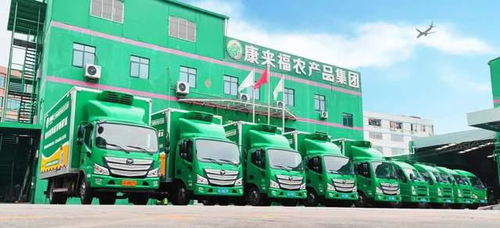 凌晨出發，康來福將新鮮的云南韭菜送上廣州食堂餐桌